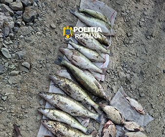 Actiune impotriva braconajului piscicol in Hunedoara confiscare de peste 40 kg de peste la Burjuc