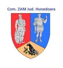 Primaria Comunei Zam