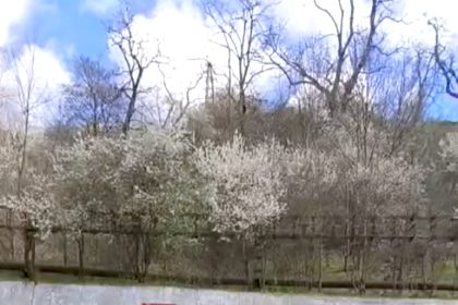 Protest spontan al minerilor de la minele Vulcan Lupeni si Livezeni