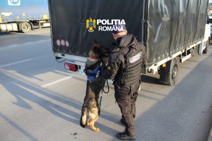 RAZIE EXTINSA IN MUNICIPIUL HUNEDOARA ZECI DE POLITISTI MOBILIZATI DOI TINERI RETINUTI PENTRU 24 DE ORE