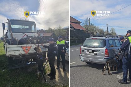 actiune pentru siguranta transportului feroviar realizata de politistii serviciului judetean de politie transporturi hunedoara