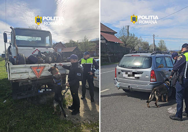 actiune pentru siguranta transportului feroviar realizata de politistii serviciului judetean de politie transporturi hunedoara