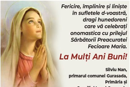 FELICITARE DE SFANTA MARIA 1