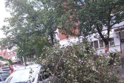 Suntem pe terren Intervenim pentru a elimina efectele furtunii care a afectat Hunedoara in aceasta dupa amiaza si seara