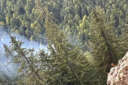 Incendiu de vegetație în Cheile Buții din Retezat