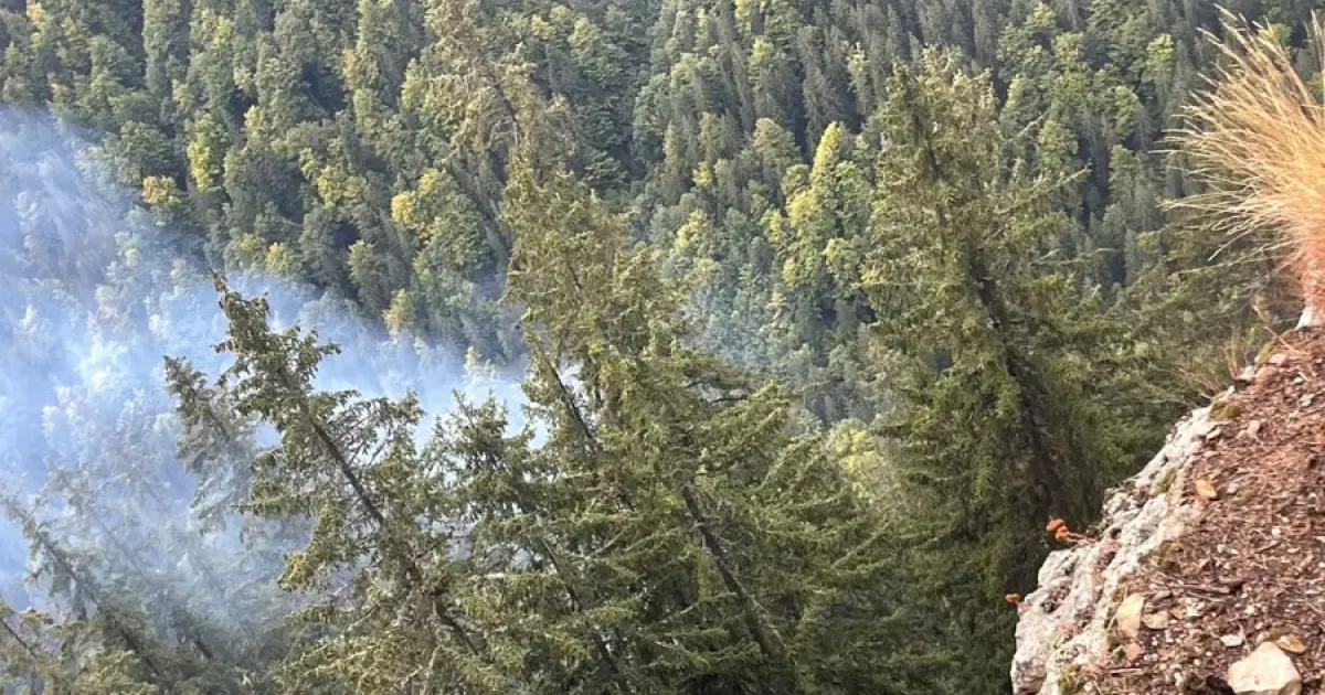 Incendiu de vegetație în Cheile Buții din Retezat