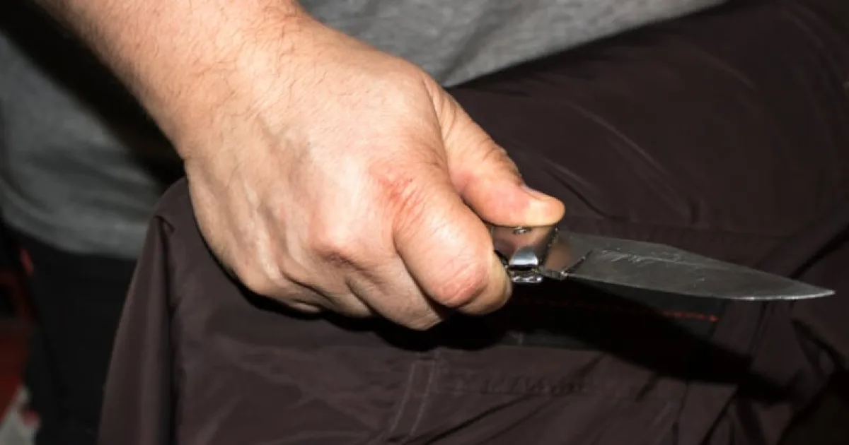 Pensionarul din Deva care a atacat o familie și doi polițiști, internat pe viață