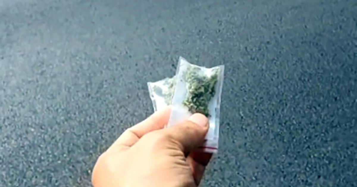 Tânăr din Călan, amendat cu peste 8.000 de lei pentru două folii de cannabis